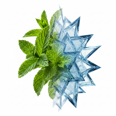 Menthol vs. Ice: Den richtigen Frischegrad bei Nikotinsalz finden
