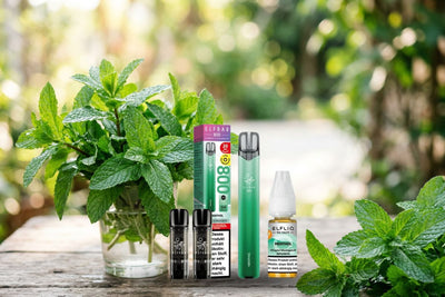 Deutschland plant ein Verbot von Menthol-Vapes – Was wir bisher wissen