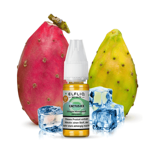 ELFLIQ Cactus Ice Nikotinsalz Liquid